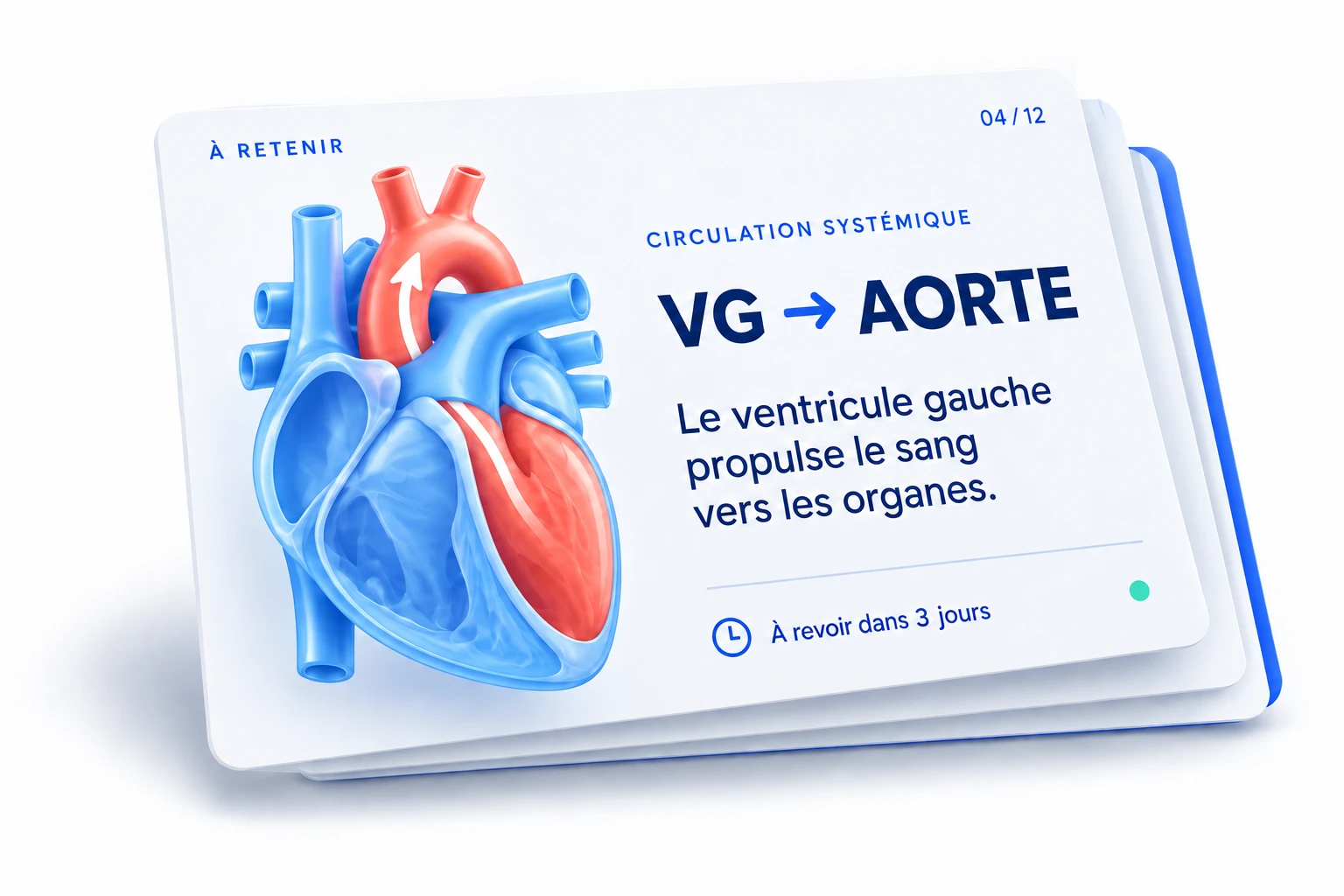 Fiche de révision : VG vers aorte. Le ventricule gauche propulse le sang vers les organes. À revoir dans trois jours.