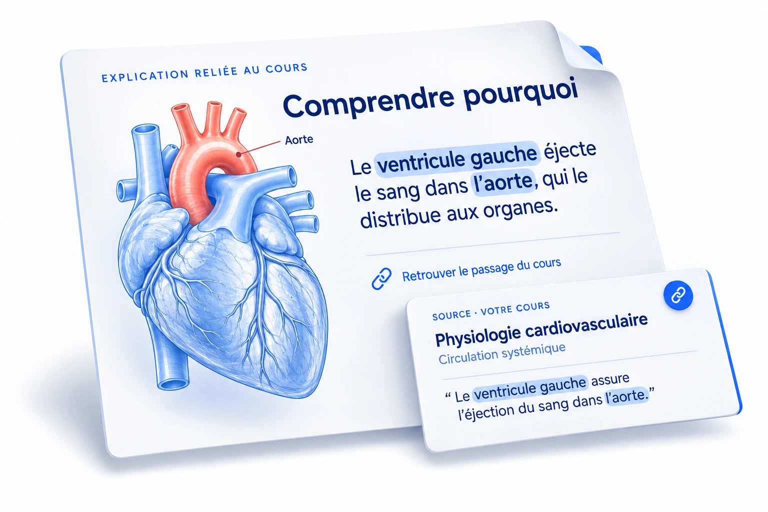 Explication reliée au cours : le ventricule gauche éjecte le sang dans l’aorte. Un extrait du cours illustre la source associée.